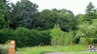 Hollycroft park , Hinckley in  June