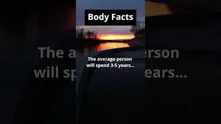 #shorts #body #fun #facts #foryou