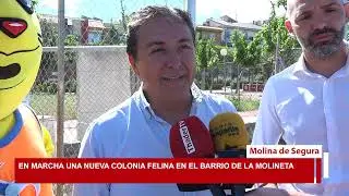 En marcha una nueva colonia felina en 
