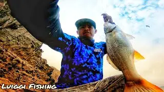 Pesca de Corvina con MajorCraft Jigpara 30grs Slow