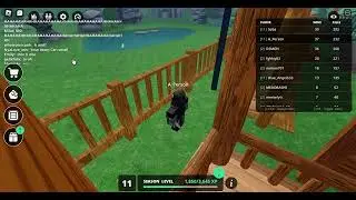 Something on roblox