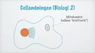 Cellandningen (Biologi 2)