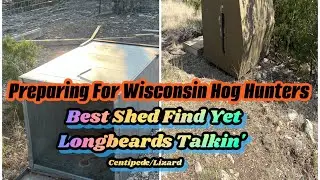 Talking Turkey/Prepping for hog hunters from Wisconsin/Reptile/Centipede/Best shed antler yet/Texas