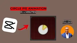 HOW TO CREATE PIE ANIMATION IN CAPCUT