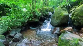 Serene River Under Moonlight – Peaceful Flowing Water Ambience for Sleep