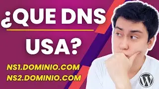 ✅ Como Saber que DNS esta Usando una Página Web | Descúbrelo Aquí