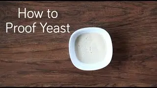 Bread Making Technique: How to Proof Yeast