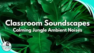 Ambient Classroom Soundscapes | Calming Jungle Background Noise (1 Hour)