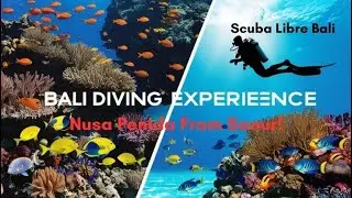 Nusa Penida von Sanur aus 3 Tauchgänge – #tauchenbali #tauchennusapenida #tauchenmantapoint