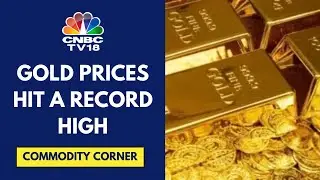 Gold Prices Surge; Best Yearly Gain in 14 Years Amid ECB Rate Cut & US Election Uncertainty