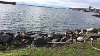 Walk Along Myrtle Edwards Park, Seattle