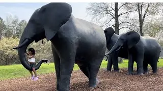 Visiting North Carolina zoo🦒 with family /2k24