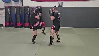 Parry Jab & Cross - Check Inner Leg Kick - Execute Low Leg Kick - Front Teep - Rear Body Kick!