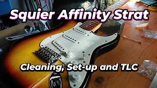 Squier Affinity Strat Cleaning/Restoring #guitar #squierstratocaster #guitartech