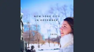 New York City in December