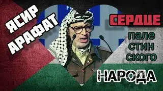 Ясир Арафат: кровавый террорист или лидер народа?