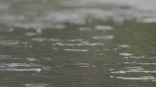 slow motion of rain drops falling into a water puddle