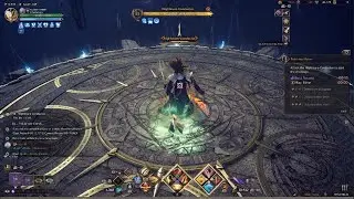 Throne And Liberty Gate Of Infinity Crusader SNS/GS Crazy Damage!