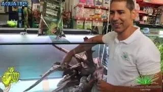 Montaje 720L aquascaping, Acuarios Naturales en Don Disco #1 || AquaTips