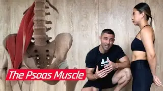 Unlock Lower Back & Hip Relief W/Pso-Rite! #shorts #selfcare