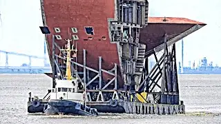cruise liner DISNEY WISH sections for Meyerwerft Papenburg tugs EMS PULL CQJD GRUNO IV PHEK Emden