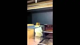 Ensomme piano