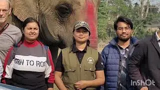 Health check up of elephant
