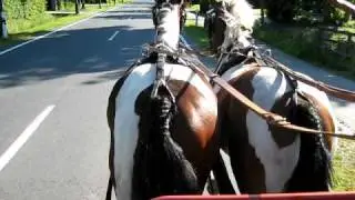 tommy und cherry vor der kutsche
