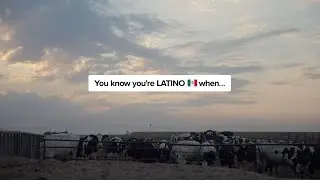 Mexican Roots | Real California Milk