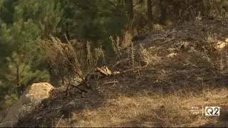 BobCat fire destroys 23 homes