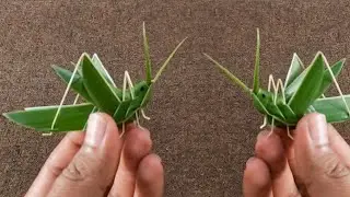 DIY Making | Grasshopper Making From Coconut Leaves Craft | Palm Leaf Craft.