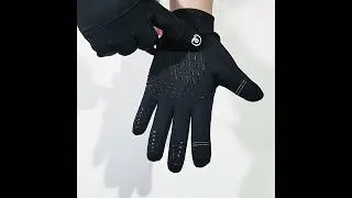 Kyncilor