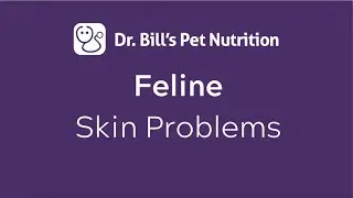 Feline Skin Problems | Dr. Bill's Pet Nutrition