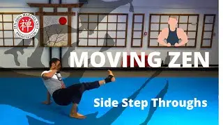 Moving Zen - Dynamic Movement for the Karateka - Side Step Throughs