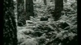 BBC1 | Trailer for Omnibus into One Cup Golf Challenge | 1986