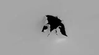 vellum cloth tearing by string