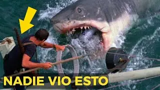Jaws 