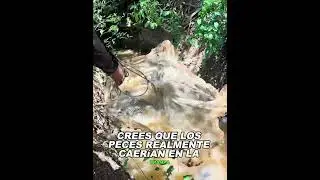Cut the fish into small pieces to use as bait.#animals  #Friendship #Us #fish #fishing