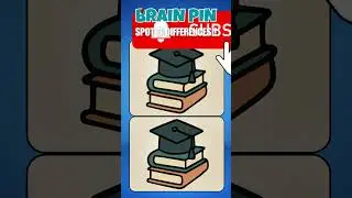 Spot the Difference or Be Fooled! 😲 Brain Pin Puzzle