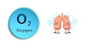 What is Ozone?