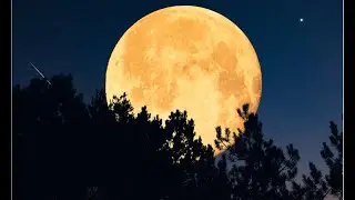 Cold Moon 2025: Last Supermoon Lights Up The December Sky