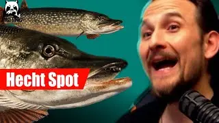 Russian Fishing 4 - Ladogasee - Hecht Spot: Event Stufe 7 Aufgabe 1
