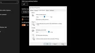 Windows 10: How To Change Mouse Pointer/Cursor Size Bigger | Show Shadow Trails