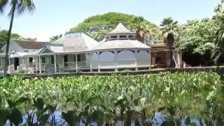 A day at moanalua gardens hawaii | #travel with char