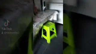 #cat #funny #rnvonyt