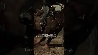 let them hate&hellip; #horse #riding #equestrian