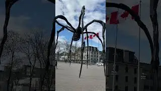 POV: casually walking in Ottawa&hellip; then this appears 🕷️🇨🇦🌿 #canadalife #fypシ゚viral #ottawa #viral