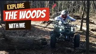 Explore the woods