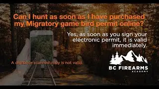 Can I hunt as soon as I have purchased my Migratory game bird&nbsp;permit online