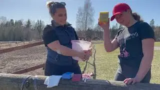 Teori med US - Smörja sadel och träns